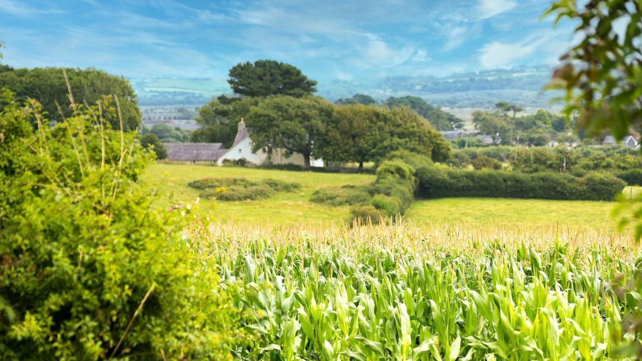 Tan Yr Allt Llangadwaladr  外观 照片